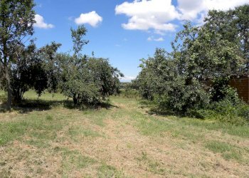Terreno agricolo Fossano - foto 7