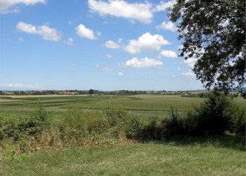 Terreno agricolo Fossano - foto 8