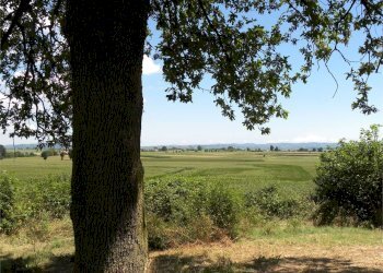 Terreno agricolo Fossano - foto 9