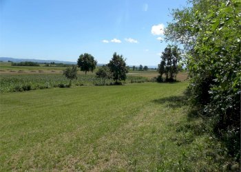Terreno agricolo Fossano - foto 10