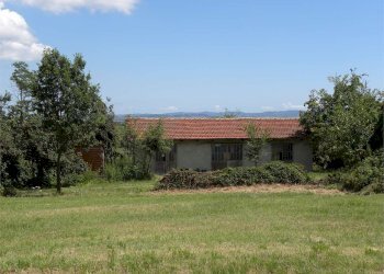 Terreno agricolo Fossano - foto 15