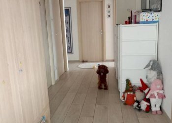 Disimpegno - Villa via Viassa, 4, Verzuolo - photo 25