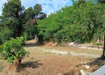 Giardino - Villa via Viassa, 4, Verzuolo - foto 42