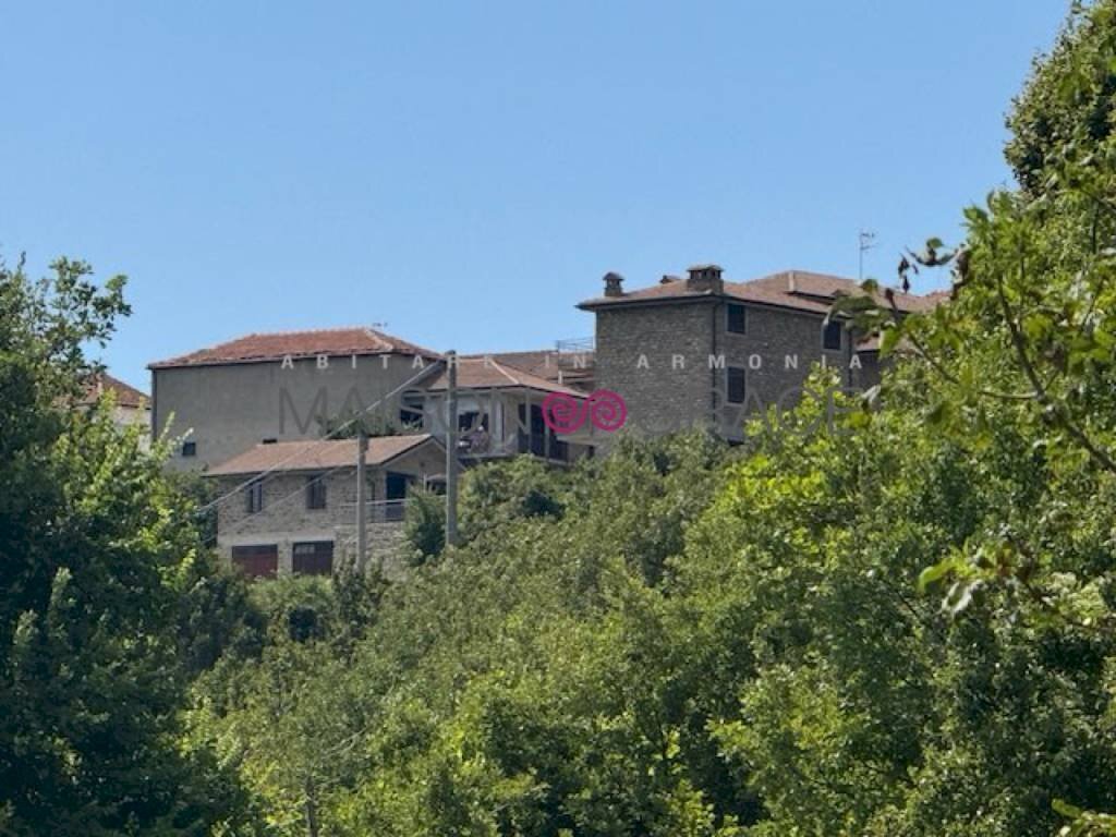 Vista - Trilocale Bergolo - foto 1