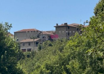 Vista - Trilocale Bergolo - foto 1