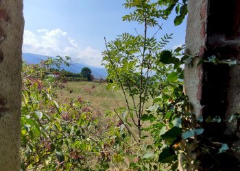 Rustic Via degli Alteni, 3, Martiniana Po - photo 27