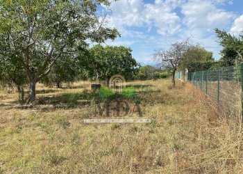 Foto 6 - Casa indipendente Via Sette Fratelli, Giulianova - foto 5