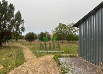 Foto 7 - Casa indipendente Via Sette Fratelli, Giulianova - foto 6