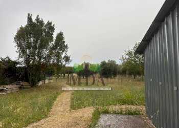 Foto 10 - Casa indipendente Via Sette Fratelli, Giulianova - foto 9