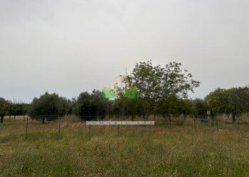 Foto 12 - Casa indipendente Via Sette Fratelli, Giulianova - foto 11