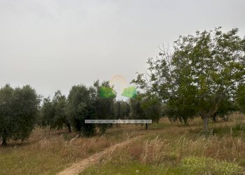 Foto 13 - Casa indipendente Via Sette Fratelli, Giulianova - foto 12