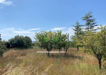 Foto 16 - Casa indipendente Via Sette Fratelli, Giulianova - foto 15