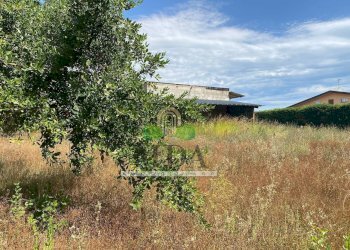 Foto 19 - Casa indipendente Via Sette Fratelli, Giulianova - foto 18