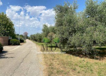 Foto 24 - Casa indipendente Via Sette Fratelli, Giulianova - foto 23