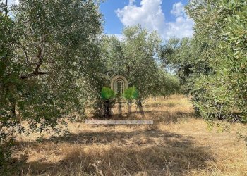 Foto 25 - Casa indipendente Via Sette Fratelli, Giulianova - foto 24