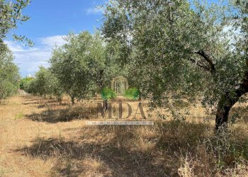 Foto 27 - Casa indipendente Via Sette Fratelli, Giulianova - foto 26