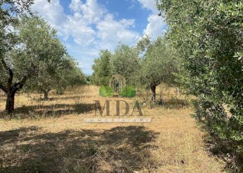 Foto 28 - Casa indipendente Via Sette Fratelli, Giulianova - foto 27