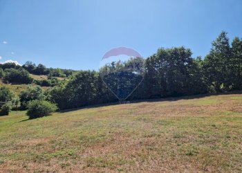 Giardino - Rustico Località Redealto, Sepino - foto 11