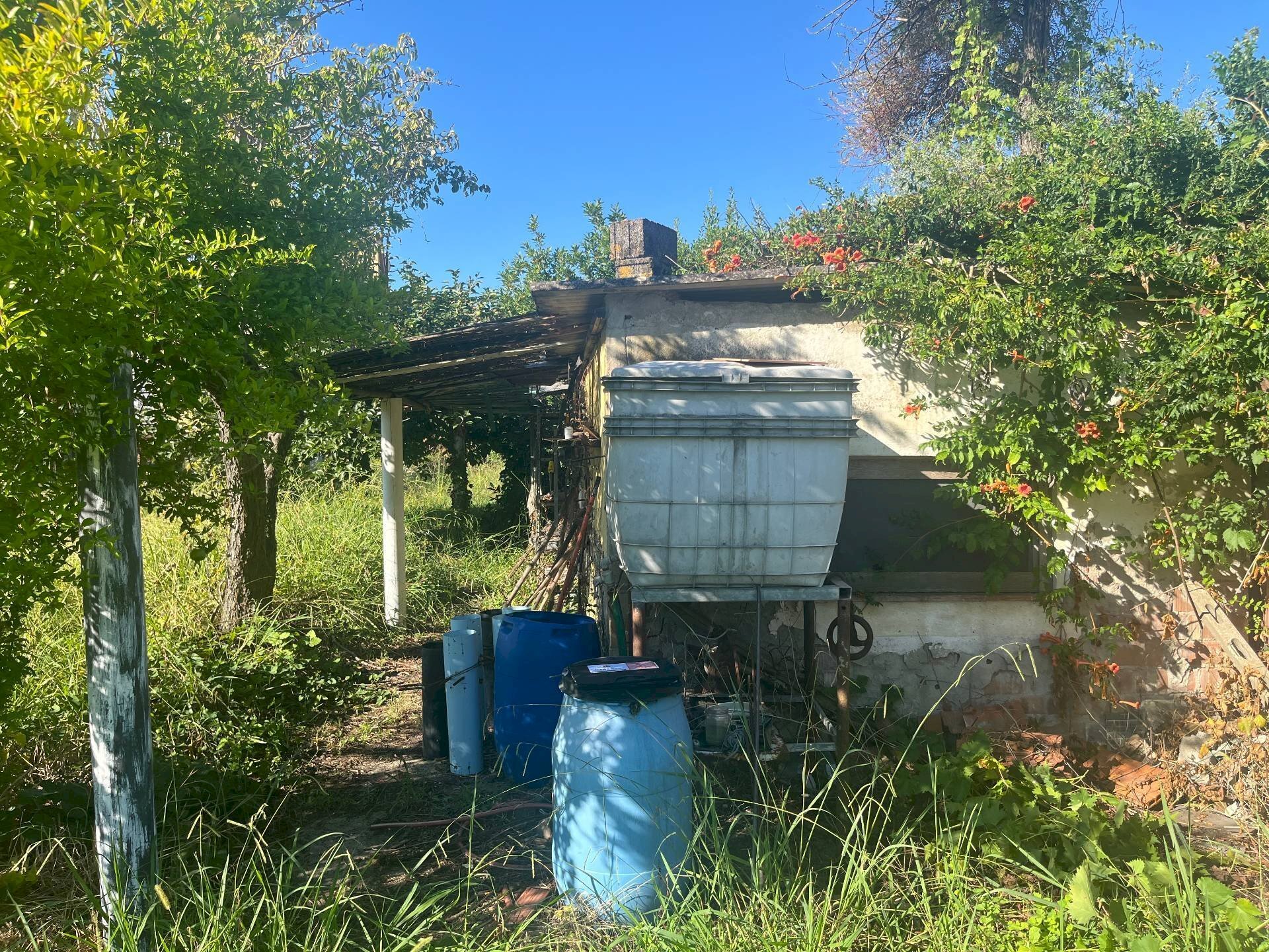 Foto 1 - Agricultural land via piastroni
 
8, Cascina - photo 1