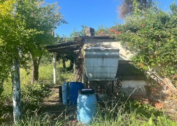 Foto 1 - Agricultural land via piastroni
 
8, Cascina - photo 1