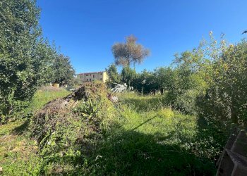 Foto 6 - Agricultural land via piastroni
 
8, Cascina - photo 6