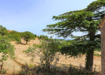 Foto 37 - Villa Nucleo Porcarecce, Sorano - foto 37