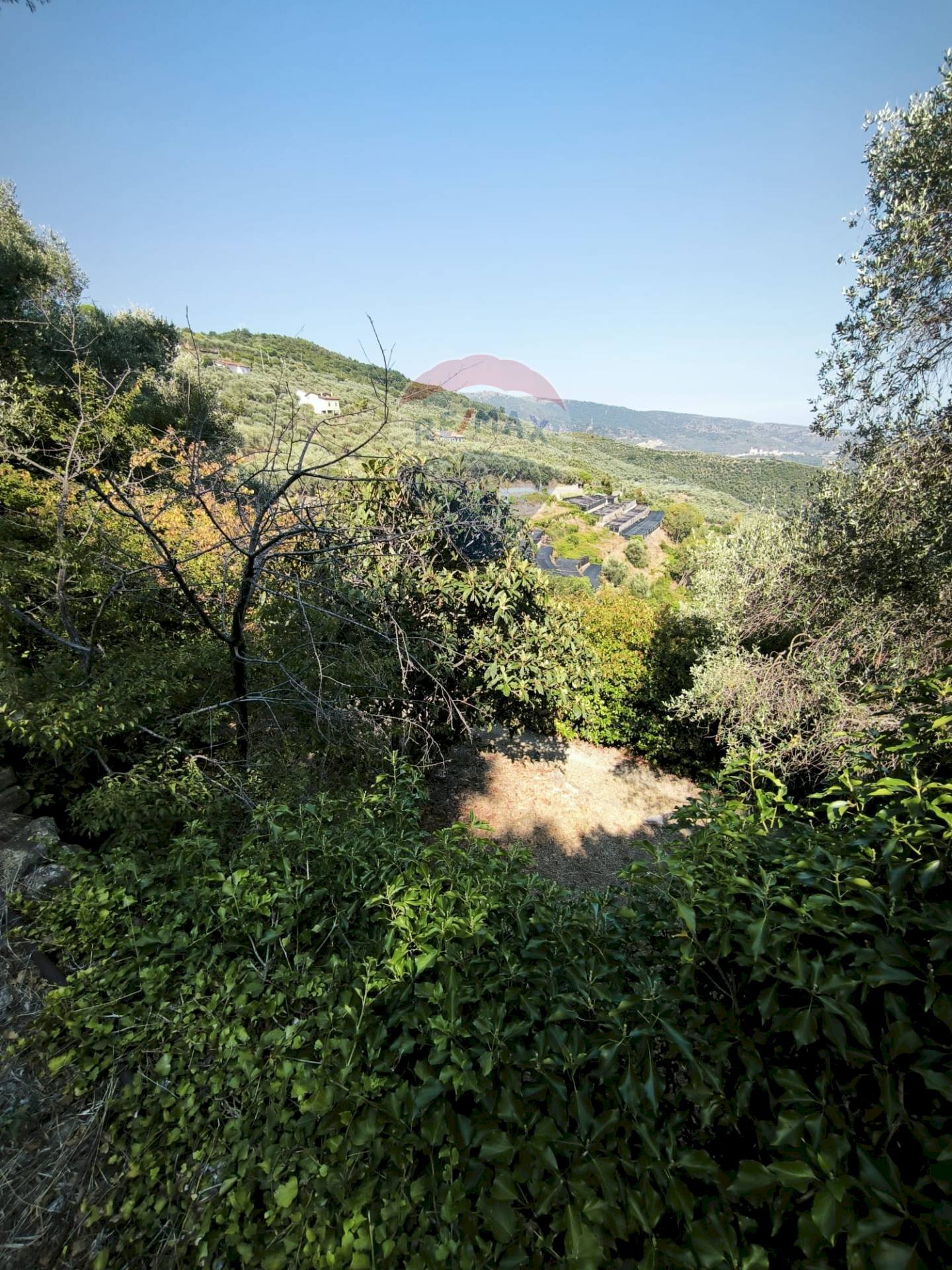 Independent house Regione Beusi, 40 
 Taggia, Taggia - photo 2