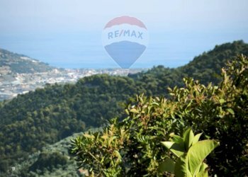 Independent house Regione Beusi, 40 
 Taggia, Taggia - photo 1