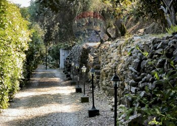 Independent house Regione Beusi, 40 
 Taggia, Taggia - photo 8