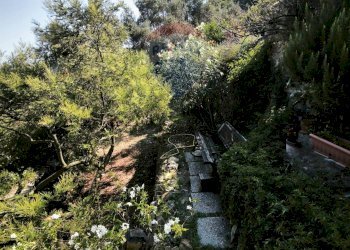 Independent house Regione Beusi, 40 
 Taggia, Taggia - photo 35