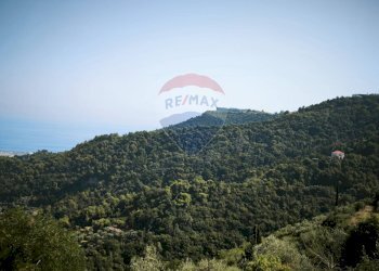 Independent house Regione Beusi, 40 
 Taggia, Taggia - photo 5