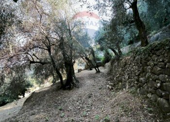 Independent house Regione Beusi, 40 
 Taggia, Taggia - photo 49