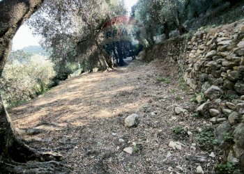 Independent house Regione Beusi, 40 
 Taggia, Taggia - photo 50