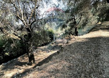 Independent house Regione Beusi, 40 
 Taggia, Taggia - photo 51