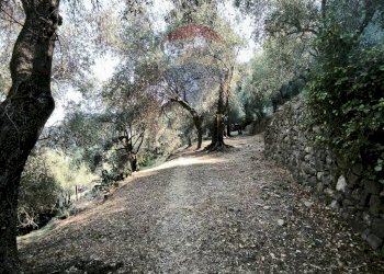 Independent house Regione Beusi, 40 
 Taggia, Taggia - photo 52