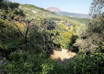 Independent house Regione Beusi, 40 
 Taggia, Taggia - photo 2