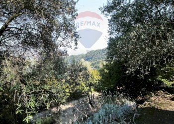 Independent house Regione Beusi, 40 
 Taggia, Taggia - photo 54