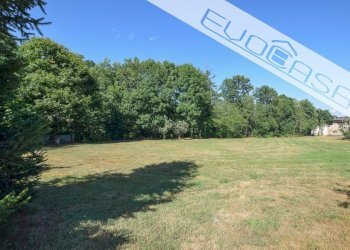 Casa semi indipendente Via Cesare Battisti 4, Bibiana - foto 31