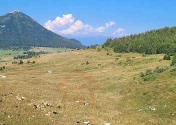 Foto 17 - Bilocale Localita' Norge
 
35, Trento - foto 16