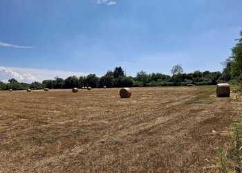 Foto 4 - Terreno agricolo vicinale mazzafame, Legnano - foto 4
