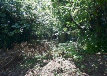 Foto 7 - Terreno agricolo vicinale mazzafame, Legnano - foto 7