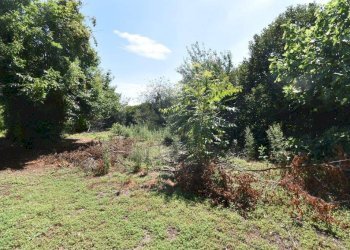 Foto 8 - Terreno agricolo vicinale mazzafame, Legnano - foto 8