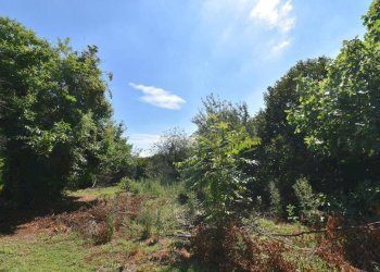 Foto 9 - Terreno agricolo vicinale mazzafame, Legnano - foto 9