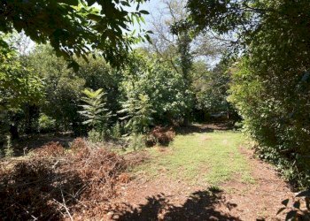 Foto 10 - Terreno agricolo vicinale mazzafame, Legnano - foto 10