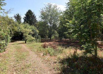 Foto 12 - Terreno agricolo vicinale mazzafame, Legnano - foto 12