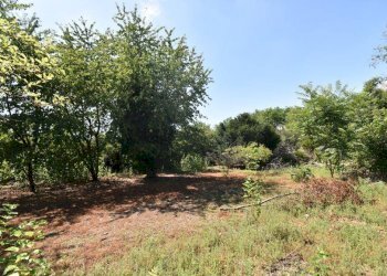 Foto 13 - Terreno agricolo vicinale mazzafame, Legnano - foto 13