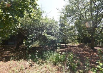 Foto 14 - Terreno agricolo vicinale mazzafame, Legnano - foto 14