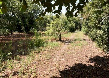 Foto 36 - Terreno agricolo vicinale mazzafame, Legnano - foto 36