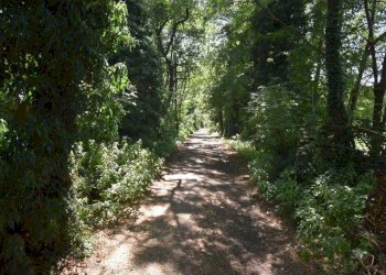 Foto 37 - Terreno agricolo vicinale mazzafame, Legnano - foto 37