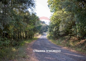 STRADA DI ACCESSO - Rustico LOC. COLLELUNGO
 
SNC, Roccastrada - foto 4